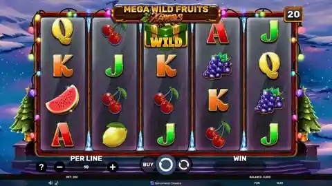 Mega Wild Fruits Slot